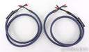 AudioQuest Wild Speaker Cables; 8ft Pair; 72v DBS