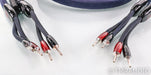 AudioQuest WildWood Speaker Cables; 8ft Pair; Wild Wood 72v DBS