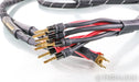 Usher Rapport Bi-Wire Speaker Cables; 10ft Pair