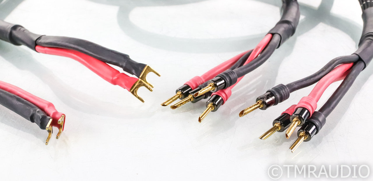 Usher Rapport Bi-Wire Speaker Cables; 10ft Pair