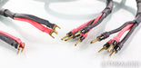 Usher Rapport Bi-Wire Speaker Cables; 10ft Pair
