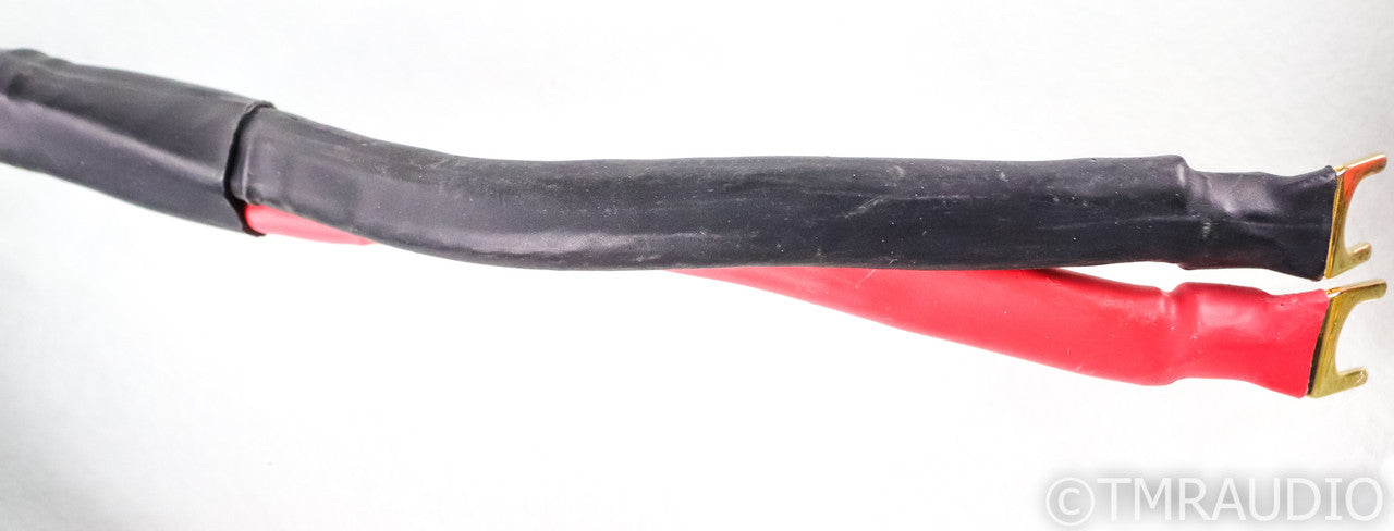 Usher Rapport Bi-Wire Speaker Cables; 10ft Pair