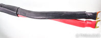 Usher Rapport Bi-Wire Speaker Cables; 10ft Pair