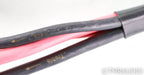 Usher Rapport Bi-Wire Speaker Cables; 10ft Pair