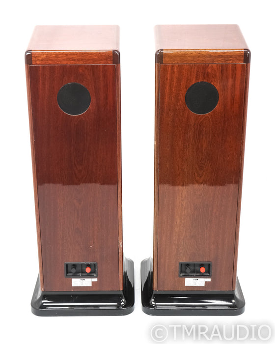 Canton Ergo Passiv Vintage Floorstanding Speakers; Gloss Walnut Pair; Pass IV