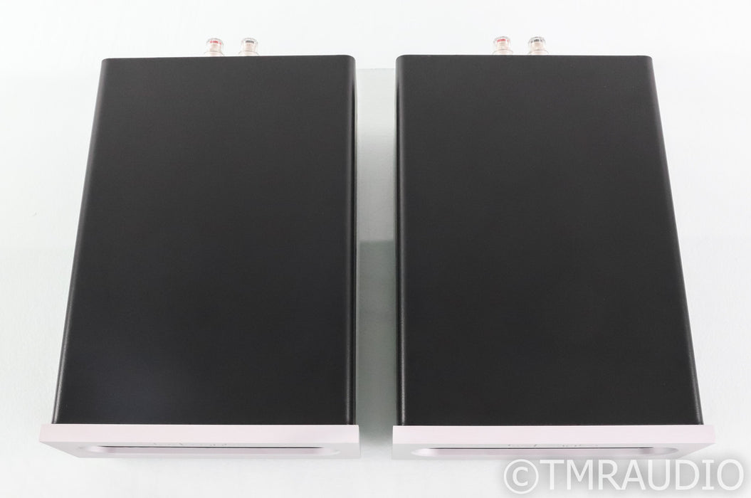 Bel Canto M300 Mono Power Amplifier; M-300; Pair