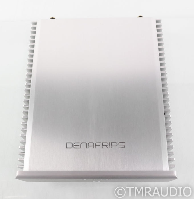 Denafrips Hyperion Stereo Power Amplifier; Silver
