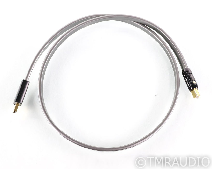 WireWorld Silver Starlight USB Cable; 1m Digital Interconnect