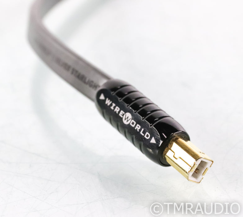 WireWorld Silver Starlight USB Cable; 1m Digital Interconnect