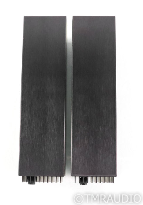 Crimson 640E-III Mono Power Amplifier; Pair; CS640EWIII