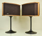 Bose 901 VI Direct Reflecting Speakers