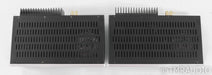 Herron Audio M1 Mono Power Amplifier; Silver Pair; M-1