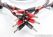 AudioQuest CV-8 Full Range Speaker cables; CV8; BFAS; 10ft Pair