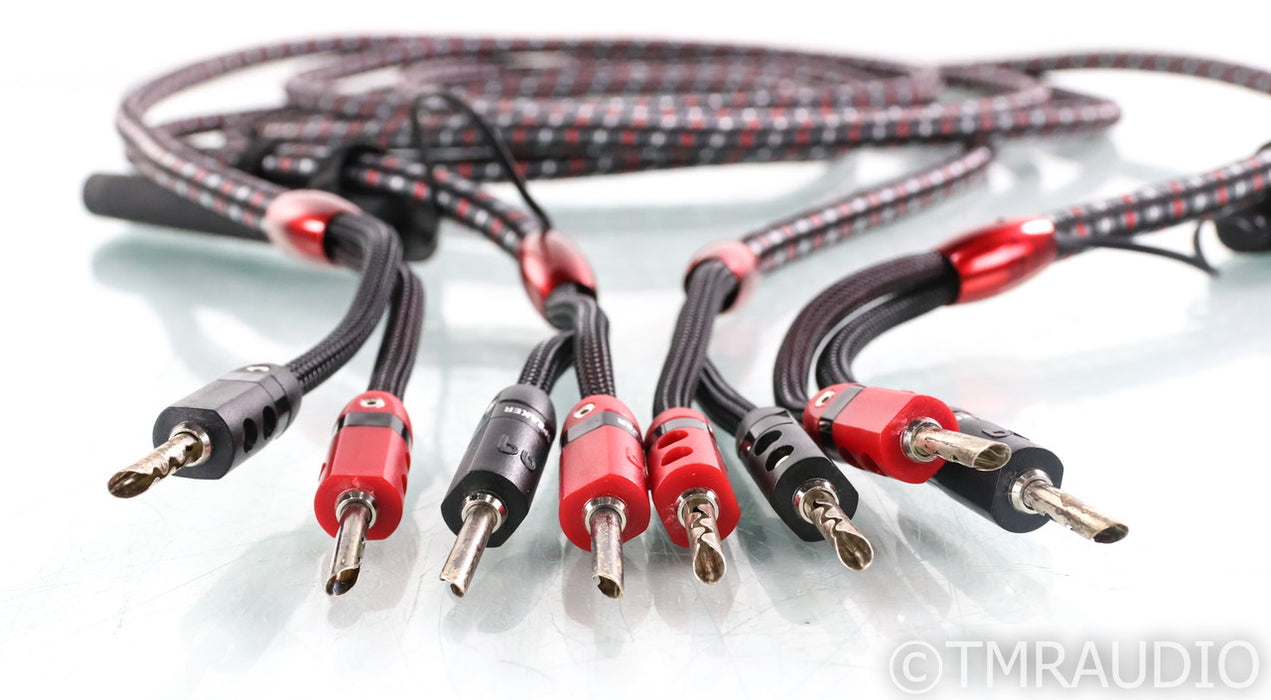 AudioQuest CV-8 Full Range Speaker cables; CV8; BFAS; 10ft Pair