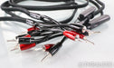 AudioQuest Rocket 88 Bi-Wire Speaker Cables; 12ft Pair; 72v DBS