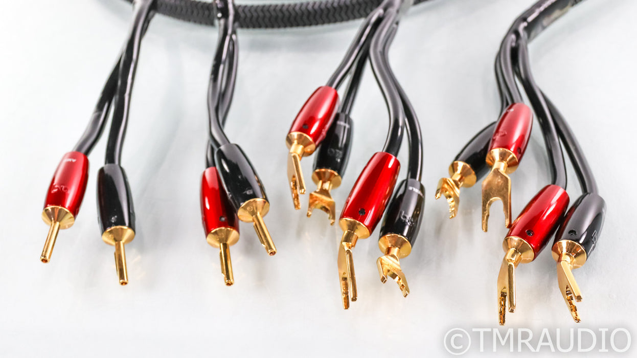 AudioQuest Rocket 44 Bi-Wire Speaker Cables; 20ft Pair; Gold