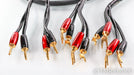 AudioQuest Rocket 44 Bi-Wire Speaker Cables; 20ft Pair; Gold