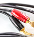 AudioQuest Rocket 44 Bi-Wire Speaker Cables; 20ft Pair; Gold