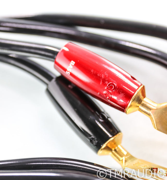 AudioQuest Rocket 44 Bi-Wire Speaker Cables; 20ft Pair; Gold