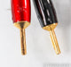 AudioQuest Rocket 44 Bi-Wire Speaker Cables; 20ft Pair; Gold