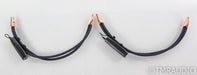 AudioQuest ThunderBird RCA Cables; 0.5m Pair Interconnects; 72v DBS (Open Box)