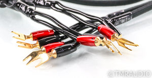 AudioQuest Rocket 88 Speaker Cables; 8ft Pair, 72v DBS