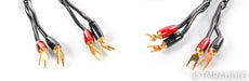 AudioQuest Rocket 88 Speaker Cables; 8ft Pair, 72v DBS