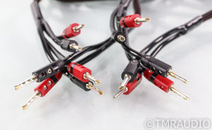 AudioQuest Rocket 33 Bi-Wire Speaker Cables; 20ft Pair