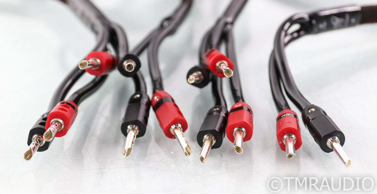 AudioQuest Rocket 33 Bi-Wire Speaker Cables; 20ft Pair
