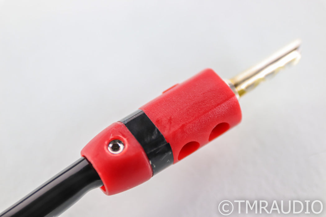 AudioQuest Rocket 33 Bi-Wire Speaker Cables; 20ft Pair