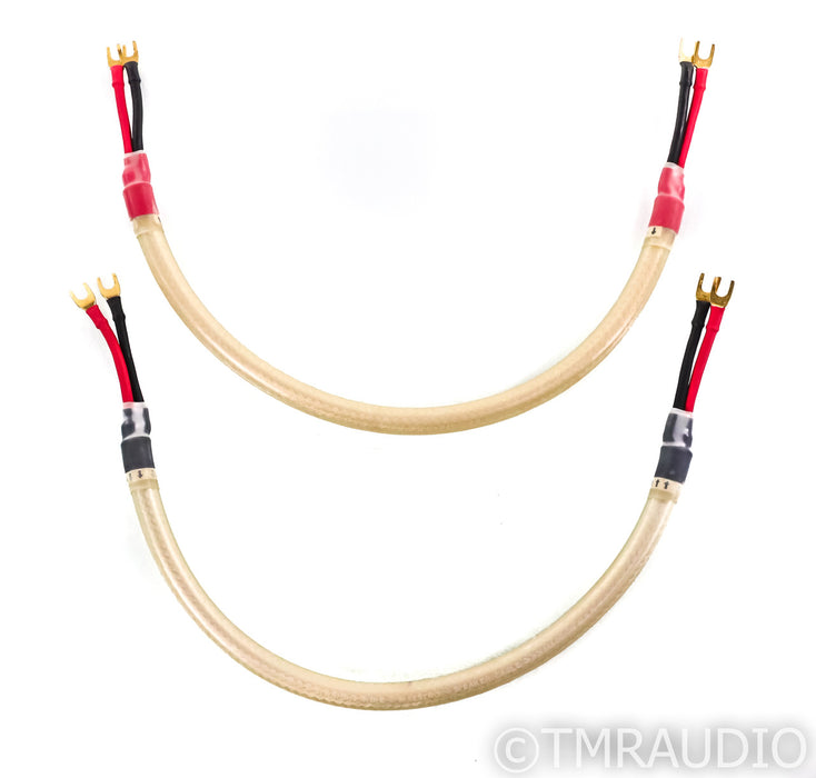 Straight Wire Maestro Speaker Cables; 2ft Pair