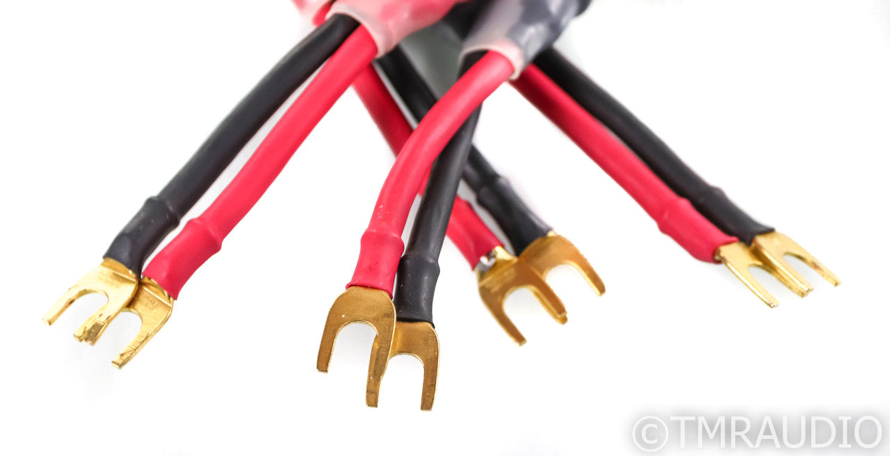 Straight Wire Maestro Speaker Cables; 2ft Pair
