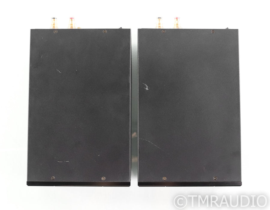 Wyred 4 Sound Ice Cube SX-1000R Mono Power Amplifier; Pair; SX1000R