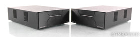 Wyred 4 Sound Ice Cube SX-1000R Mono Power Amplifier; Pair; SX1000R