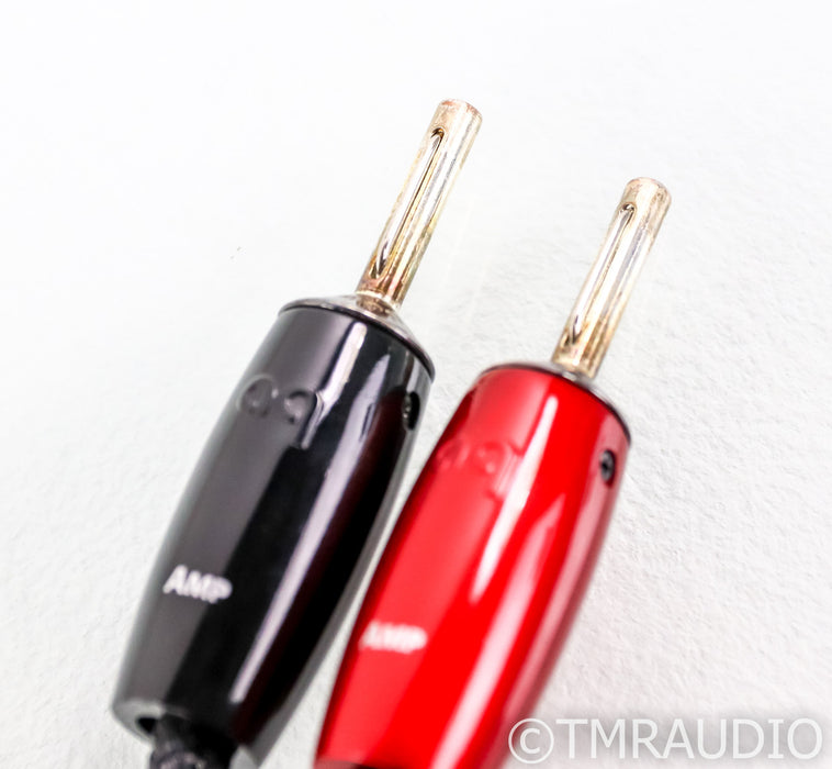 AudioQuest Type 9 Speaker Cables; 3m Pair; 72v DBS