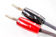 AudioQuest Type 9 Speaker Cables; 3m Pair; 72v DBS