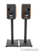 Sonus Faber Concertino Bookshelf Speakers; Walnut Pair w/ Stands