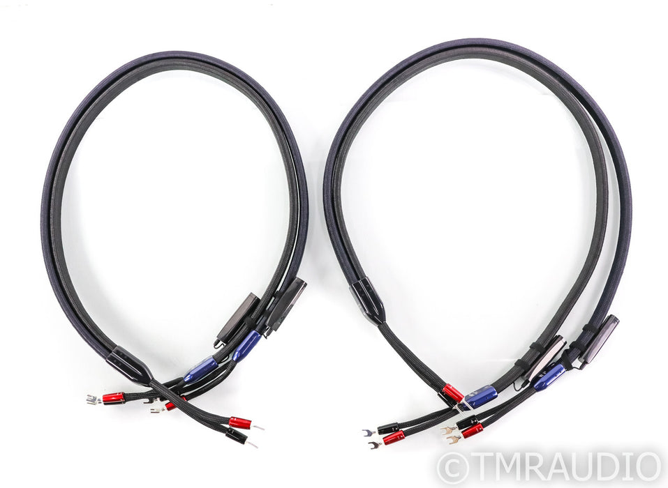 AudioQuest ThunderBird Bi-Wire COMBO Speaker Cables; 6ft Pair (Open Box)