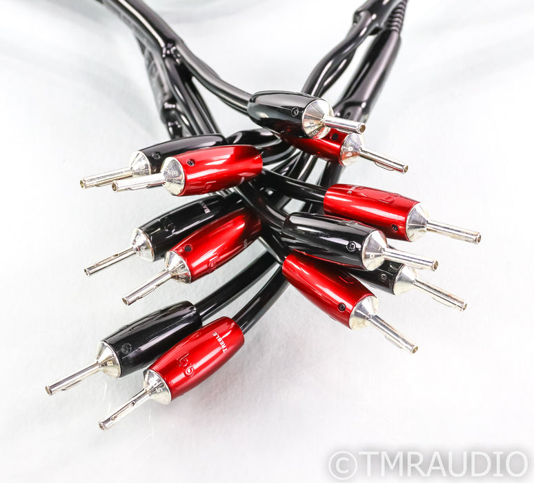 AudioQuest Rocket 44 Bi-Wire Speaker Cables; 3m Pair