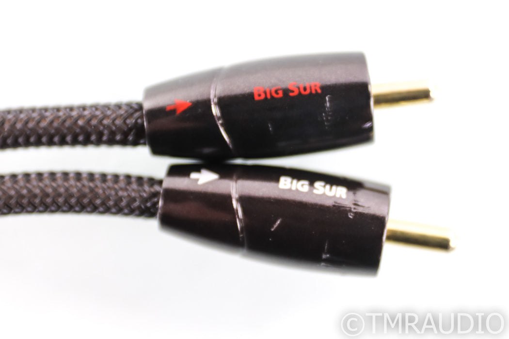 AudioQuest Big Sur RCA Cables; .5m Pair Interconnects