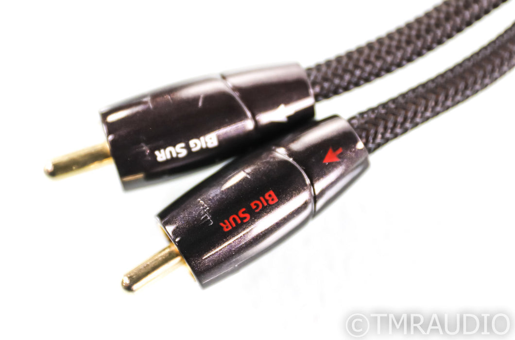 AudioQuest Big Sur RCA Cables; .5m Pair Interconnects