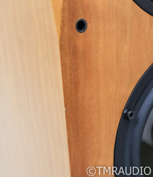 Avalon Acoustics Ascendant Floorstanding Speakers; Maple Pair