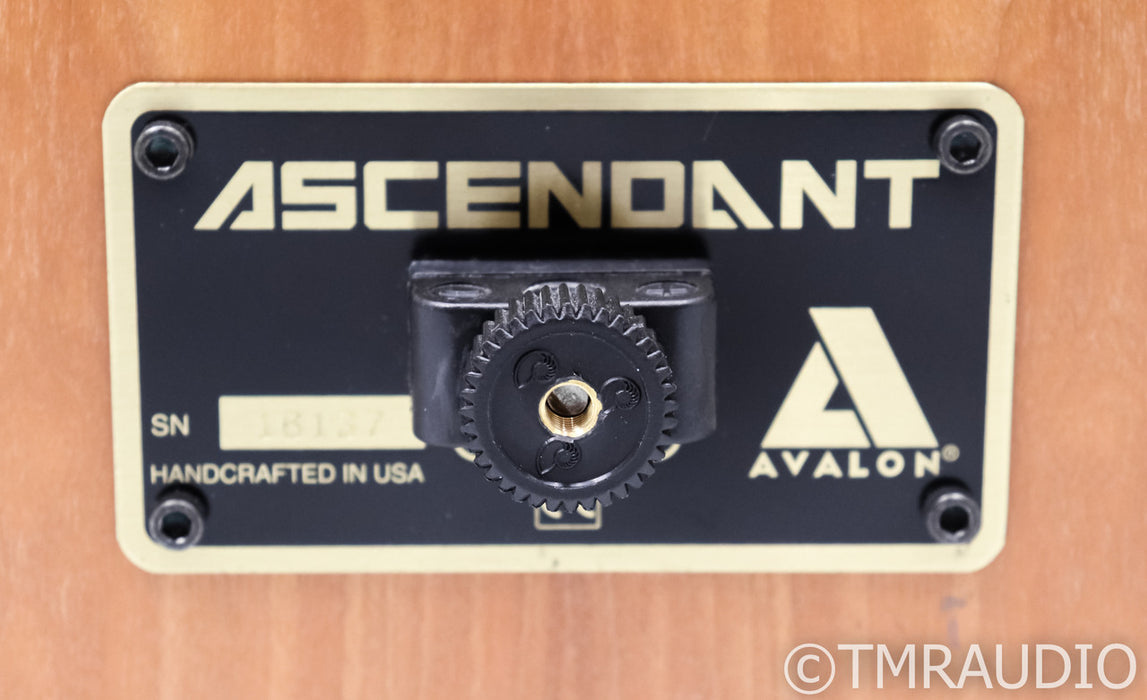 Avalon Acoustics Ascendant Floorstanding Speakers; Maple Pair