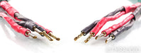 AudioQuest Pike's Peak Speaker Cables; 6ft Pair; 72v DBS