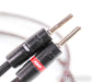 AudioQuest CV-8 Speaker Cables; 8ft Pair; CV8; 72v DBS