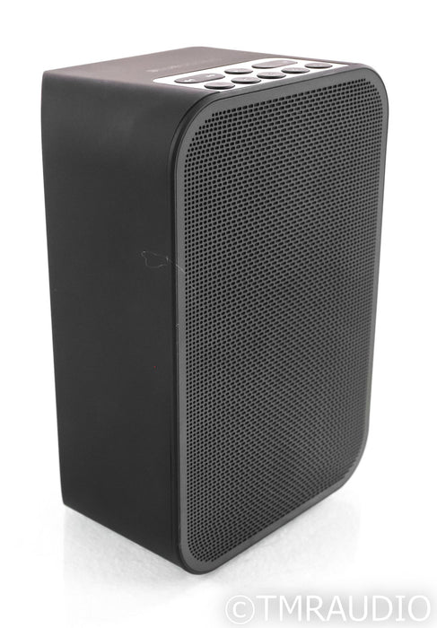 Bluesound Pulse Flex 2i Wireless Speaker; Bluetooth; Black (Open Box)