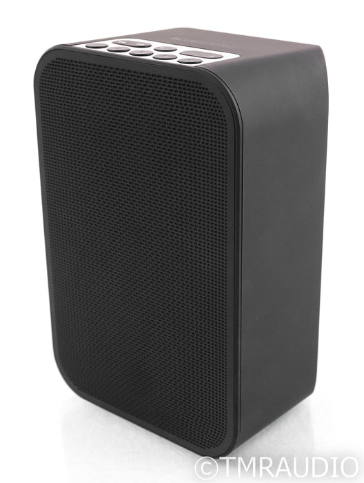 Bluesound Pulse Flex 2i Wireless Speaker; Bluetooth; Black (Open Box)