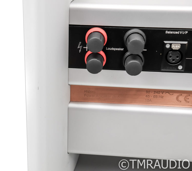 Halcro DM58 Mono Power Amplifier; Single; DM-58; Silver