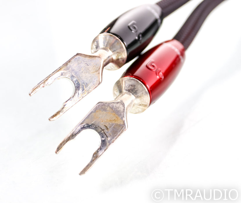 AudioQuest William Tell ZERO Speaker Cables; 10ft Pair; 72v DBS