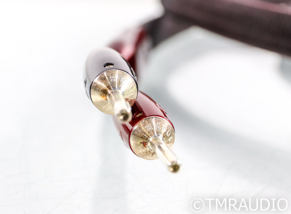 AudioQuest William Tell ZERO Speaker Cables; 10ft Pair; 72v DBS